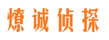 安定市场调查